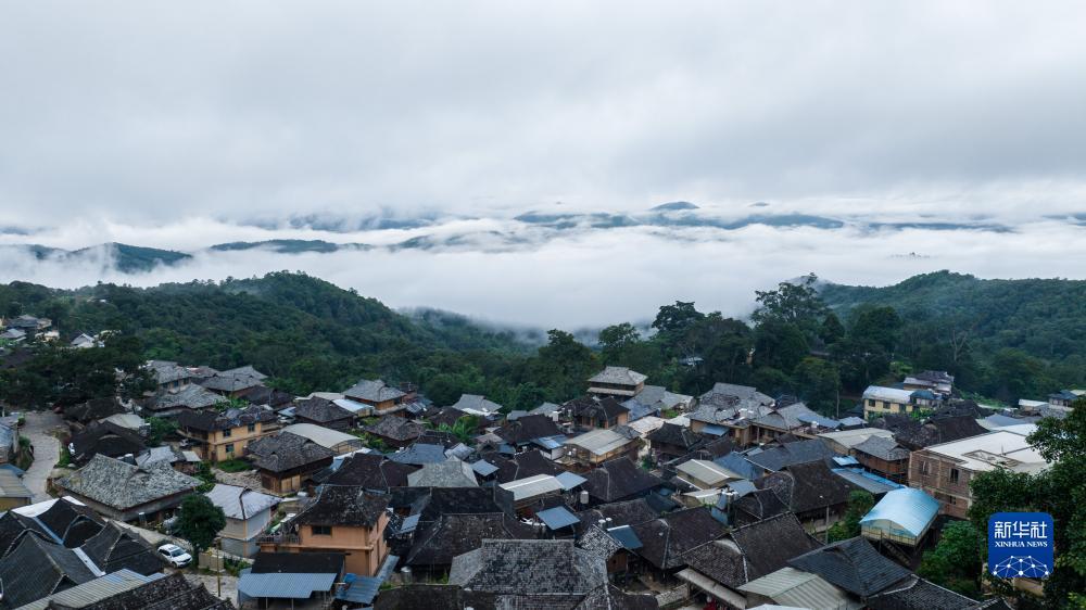 平台排行榜官方